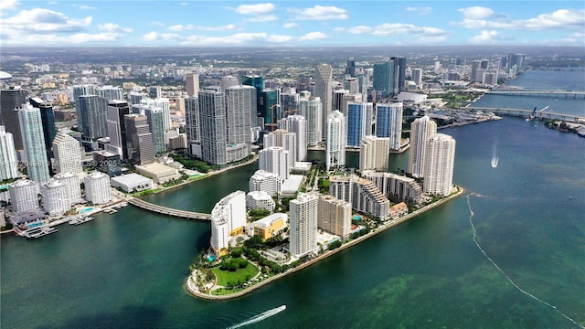 bird's eye view with a city view and a water view