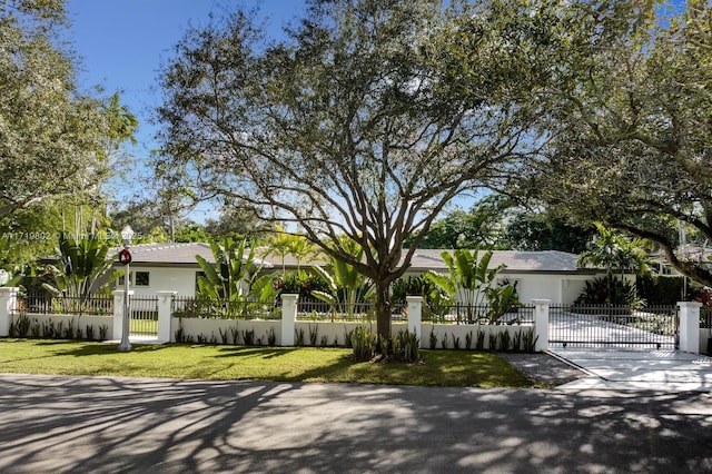 view of front of home with driveway, a fenced front yard, a gate, and stucco siding