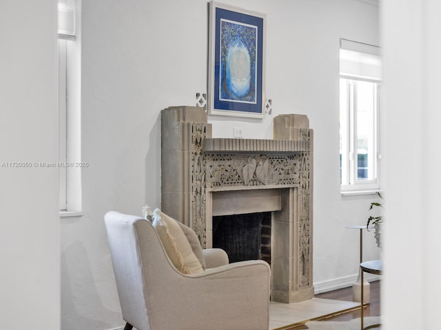 living area featuring a fireplace and wood finished floors