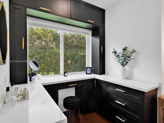 office featuring dark wood-style floors