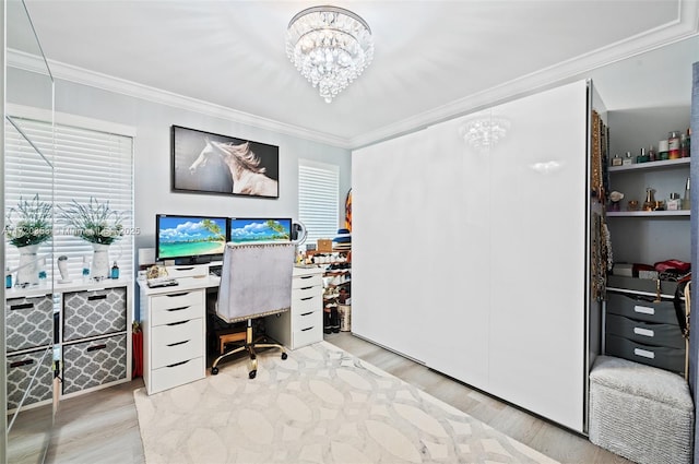 home office with a notable chandelier, light hardwood / wood-style floors, a healthy amount of sunlight, and crown molding