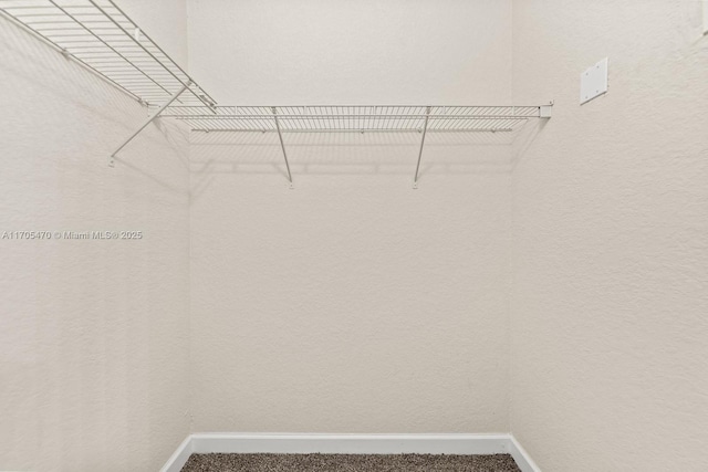 walk in closet featuring carpet flooring