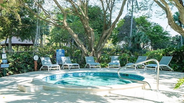 view of swimming pool with a patio