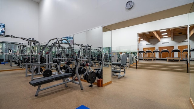 workout area featuring a towering ceiling