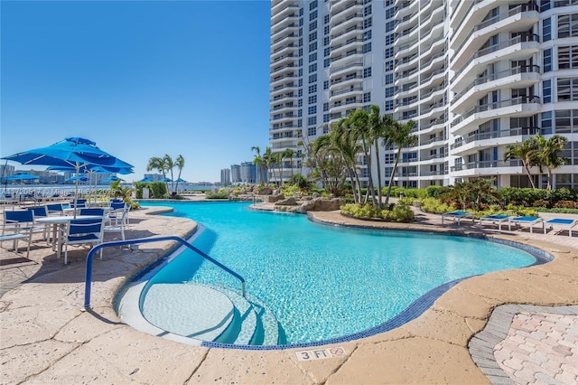 view of pool featuring a patio area