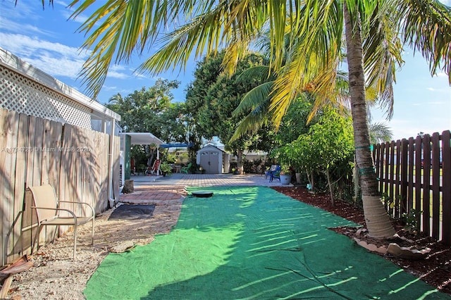 view of swimming pool featuring a patio and a storage shed