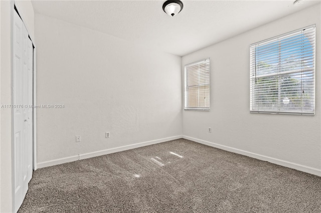 empty room featuring carpet floors and a healthy amount of sunlight