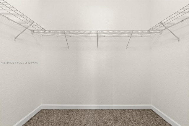 spacious closet with carpet flooring