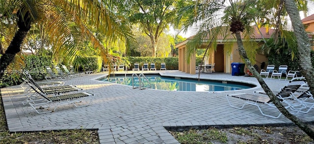 view of swimming pool with a patio