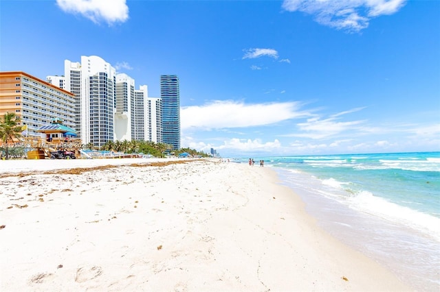 water view featuring a beach view