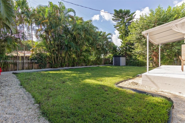 view of yard featuring a patio and a storage shed