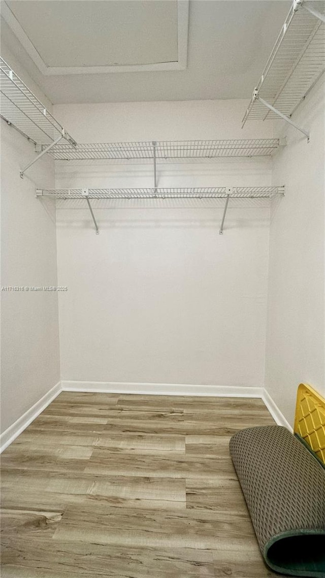 walk in closet featuring hardwood / wood-style flooring