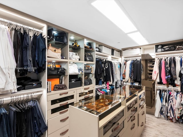 spacious closet featuring light wood-type flooring