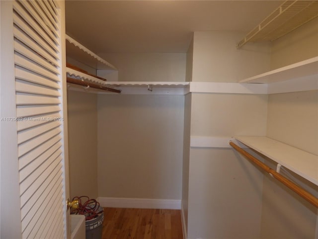 spacious closet with wood-type flooring