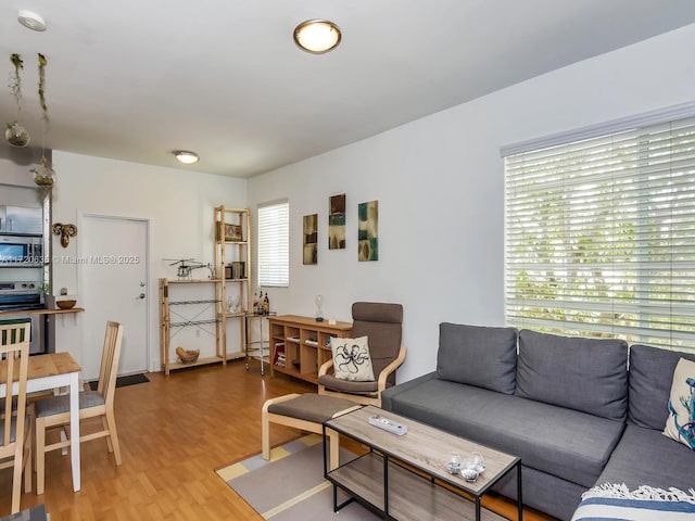 living room with wood-type flooring