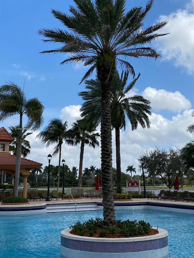 view of swimming pool