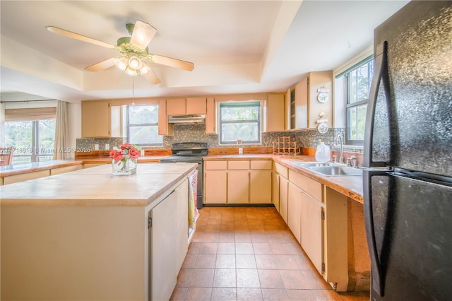 kitchen with a tray ceiling, sink, black appliances, a kitchen island, and plenty of natural light