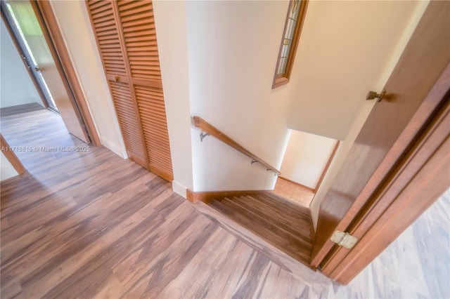 staircase featuring wood-type flooring