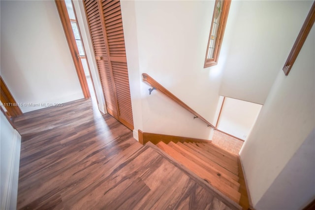 stairs with hardwood / wood-style floors