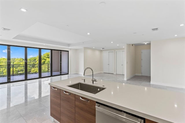 kitchen featuring a raised ceiling, stainless steel dishwasher, and sink