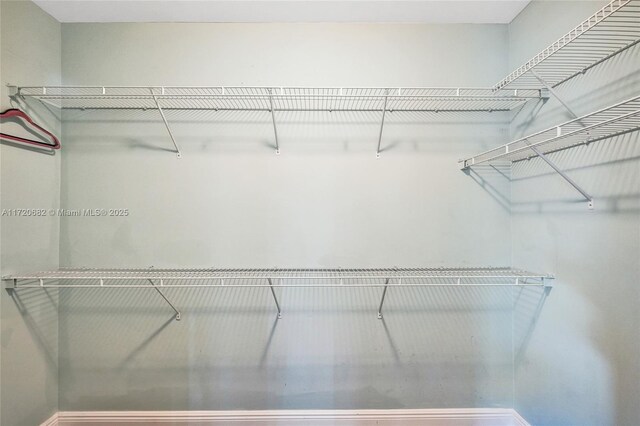 bedroom featuring a closet, a spacious closet, and ceiling fan