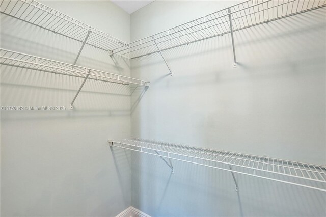 view of walk in closet