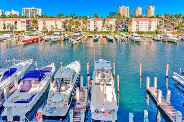 dock area featuring a water view