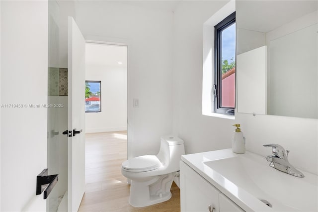 bathroom with plenty of natural light, vanity, wood-type flooring, and toilet