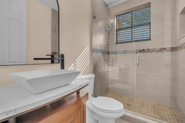 bathroom with vanity, an enclosed shower, and toilet