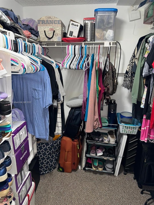 walk in closet with carpet floors