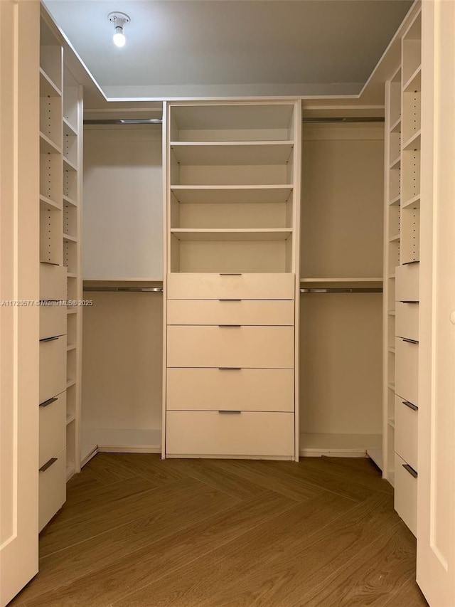 walk in closet with wood-type flooring