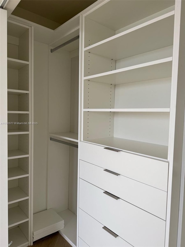 view of closet