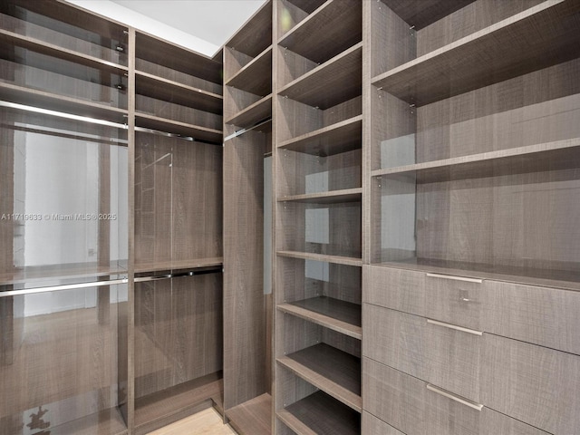 view of walk in closet