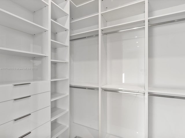 view of spacious closet