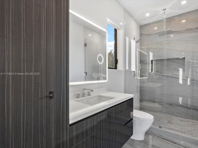 bathroom featuring toilet, a stall shower, and vanity