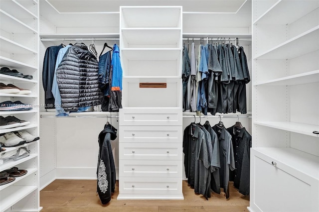 spacious closet with light hardwood / wood-style flooring