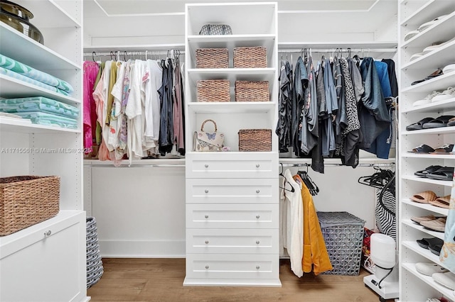 spacious closet featuring hardwood / wood-style floors