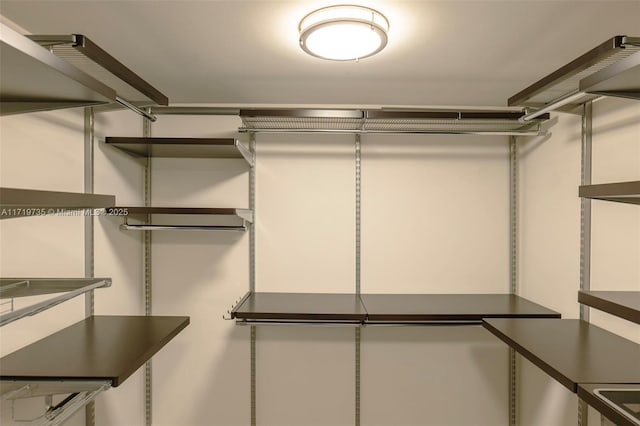 view of walk in closet