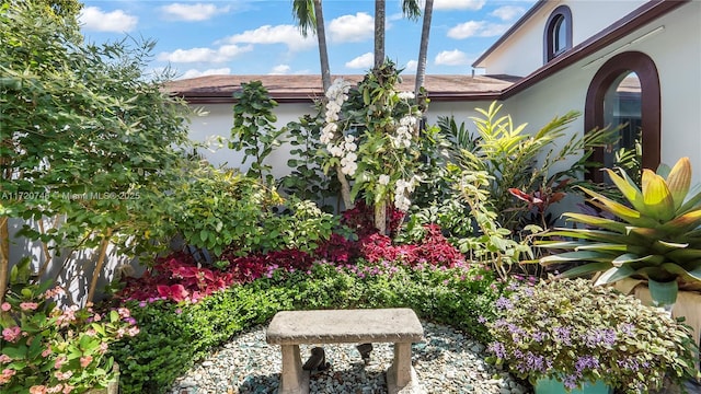 1524 39th St, West Palm Beach, FL 33407 - view of yard
