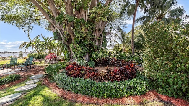 1524 39th St, West Palm Beach, FL 33407 - view of yard