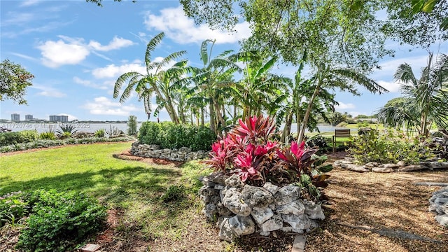 1524 39th St, West Palm Beach, FL 33407 - view of green lawn