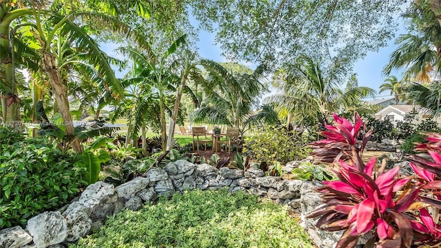 1524 39th St, West Palm Beach, FL 33407 - view of yard