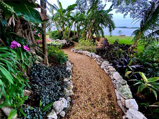 1524 39th St, West Palm Beach, FL 33407 - view of yard