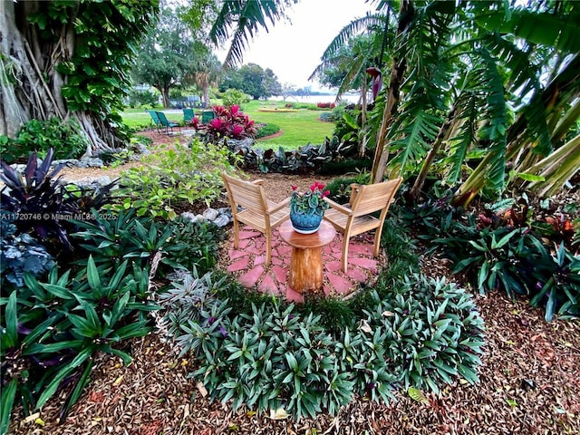 1524 39th St, West Palm Beach, FL 33407 - view of grassy yard featuring a patio
