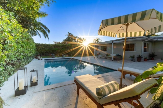 view of pool featuring a patio area