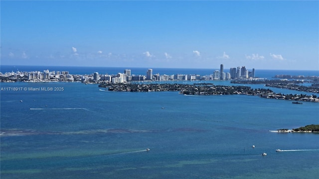 property view of water with a city view