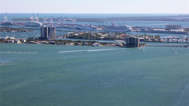 bird's eye view with a water view