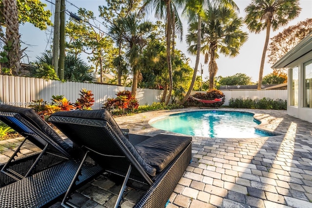 view of pool featuring a patio