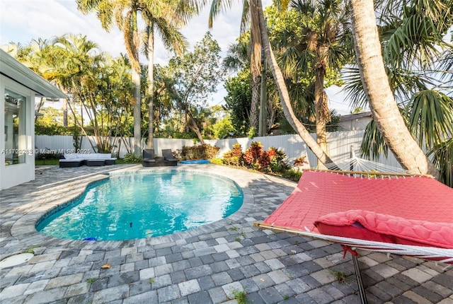 view of pool with a patio area