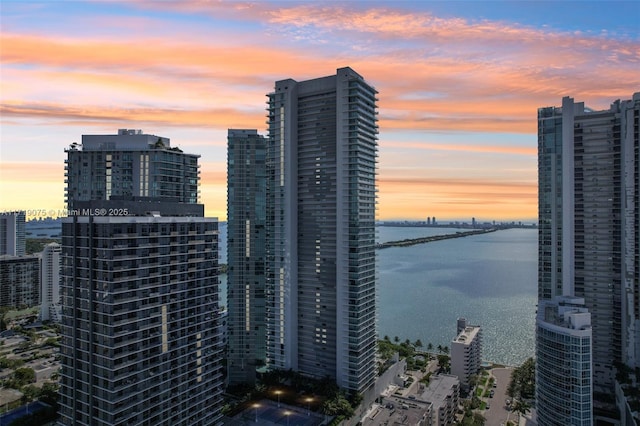 480 NE 31st St Unit Ph5402, Miami, FL 33137 - photo 38